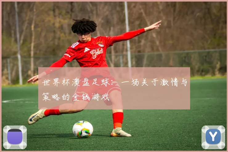 世界杯澳盘足球:一场关于激情与策略的金钱游戏