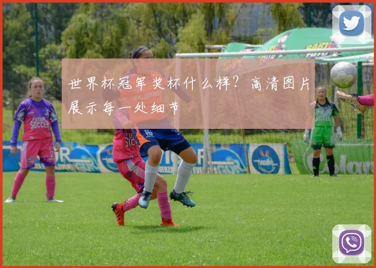 世界杯冠军奖杯什么样?高清图片展示每一处细节