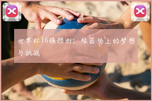 世界杯16强预测：绿茵场上的梦想与挑战