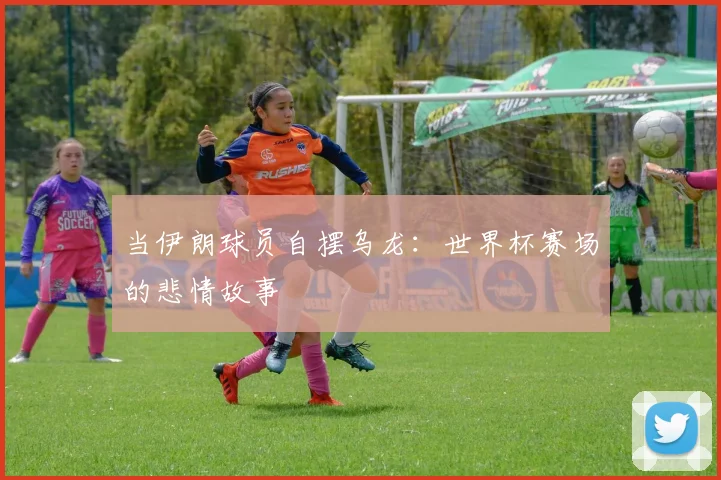 当伊朗球员自摆乌龙:世界杯赛场的悲情故事