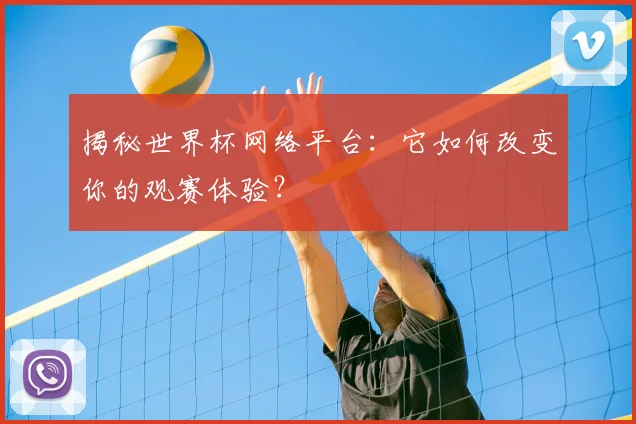 揭秘世界杯网络平台:它如何改变你的观赛体验?